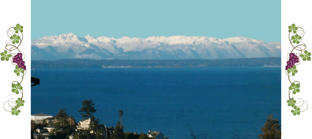 View of the Puget Sound and snowy Olympic Mountains in the distance.